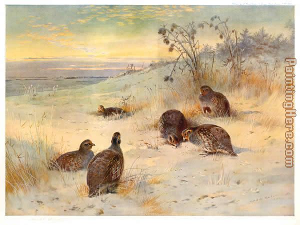 Close of a Winter's Day painting - Archibald Thorburn Close of a Winter's Day art painting